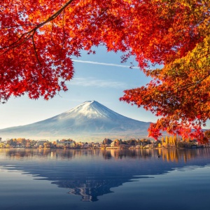 TOKYO - NAGOYA - KYOTO - OSAKA